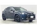 2021 Lexus Other