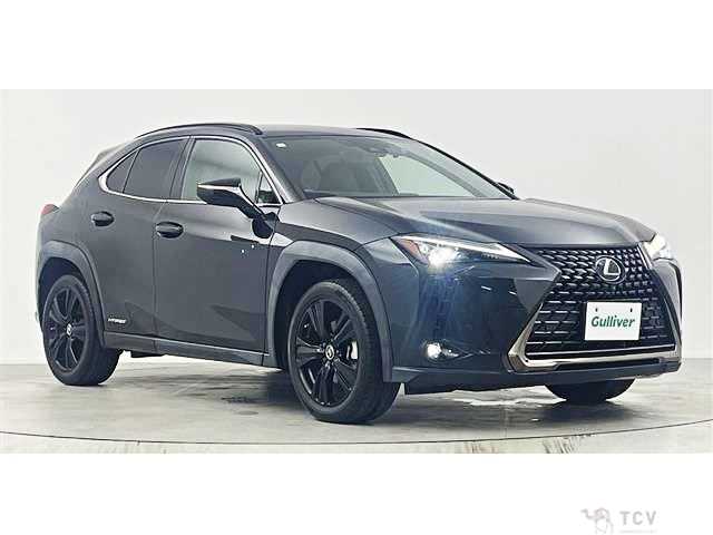 2021 Lexus Other
