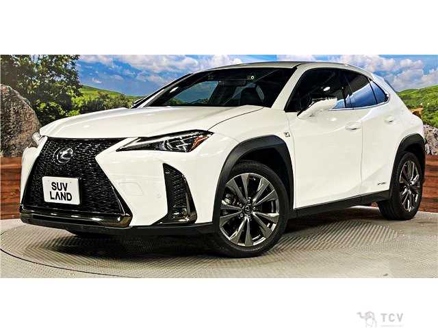2021 Lexus Other