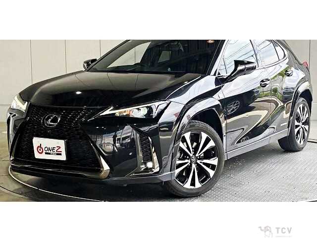 2021 Lexus Other
