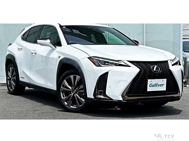 2021 Lexus Other