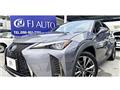 2021 Lexus Other