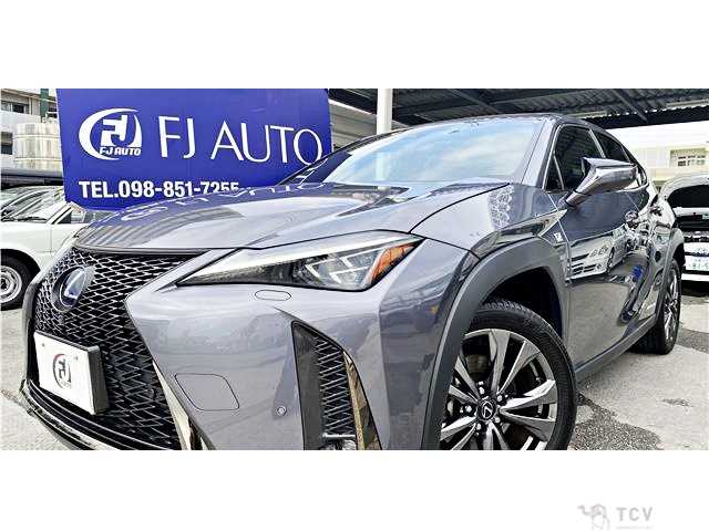 2021 Lexus Other
