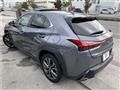 2021 Lexus Other