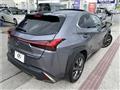 2021 Lexus Other