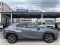 2021 Lexus Other