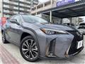 2021 Lexus Other