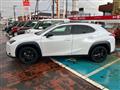 2021 Lexus Other