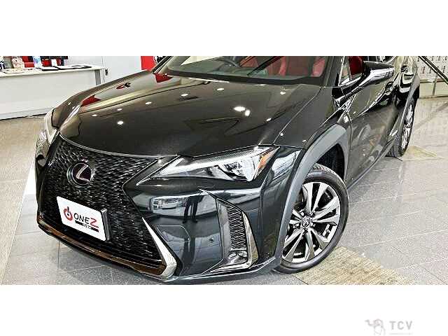2021 Lexus Other