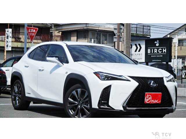 2021 Lexus Other