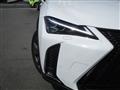 2021 Lexus Other