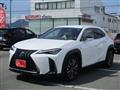 2021 Lexus Other
