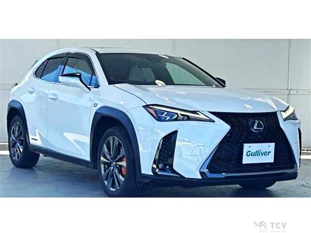 2021 Lexus Other