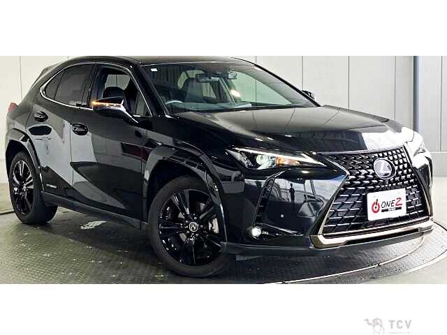 2021 Lexus Other