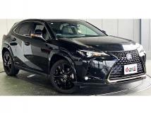 2021 Lexus Other