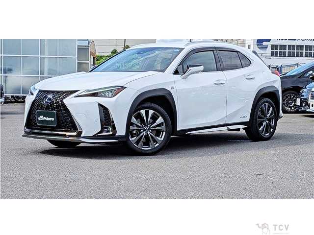 2021 Lexus Other