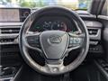 2021 Lexus Other
