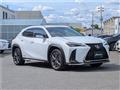 2021 Lexus Other