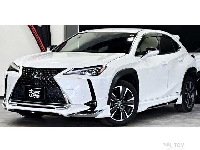 2021 Lexus Other