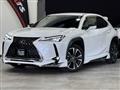 2021 Lexus Other