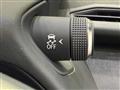 2021 Lexus Other