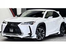 2021 Lexus Other