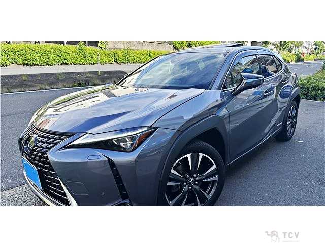 2021 Lexus Other