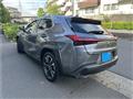 2021 Lexus Other