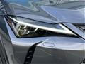 2021 Lexus Other