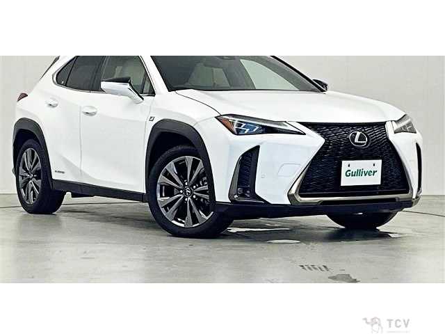 2021 Lexus Other