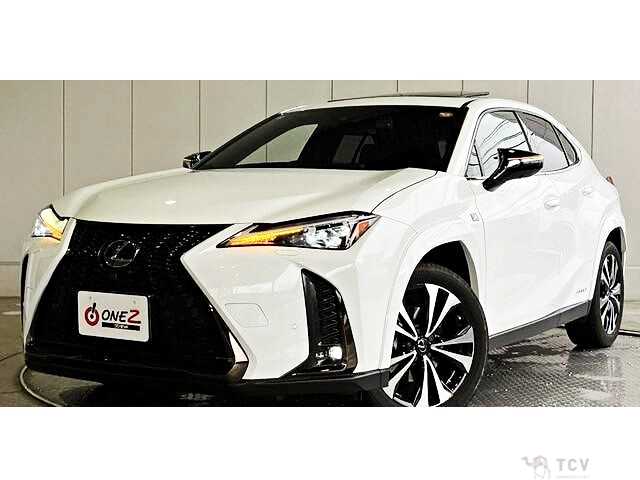 2021 Lexus Other