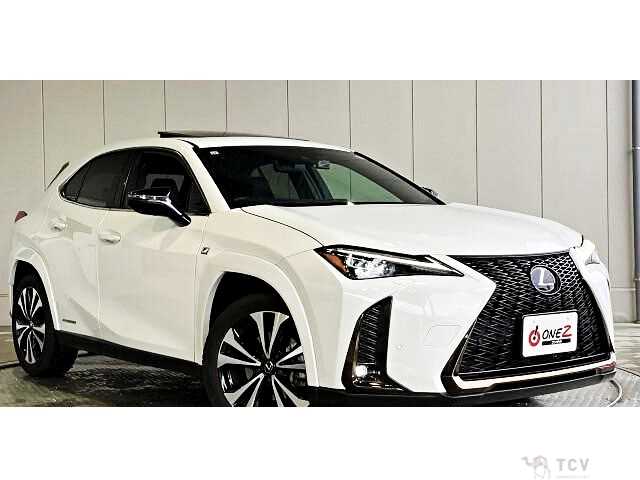 2021 Lexus Other