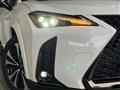 2021 Lexus Other