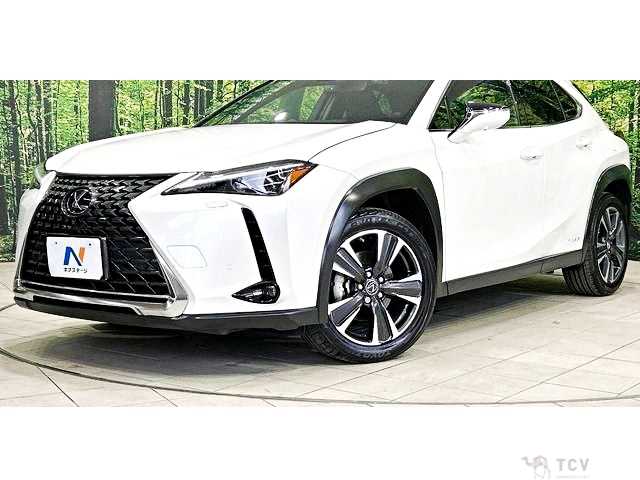 2021 Lexus Other