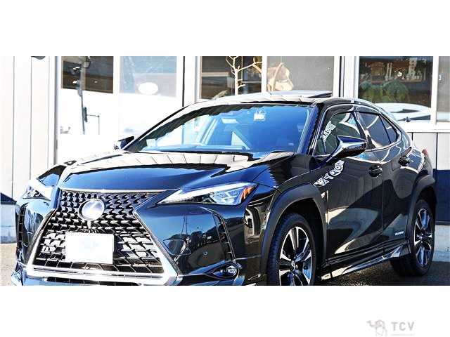 2021 Lexus Other