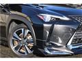 2021 Lexus Other