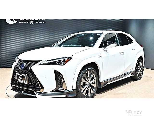 2021 Lexus Other