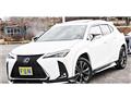2021 Lexus Other