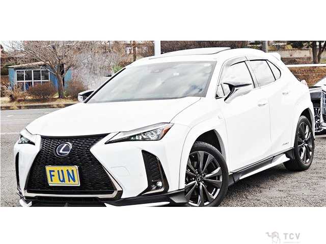 2021 Lexus Other