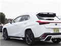 2021 Lexus Other