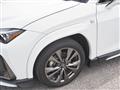 2021 Lexus Other