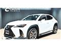 2021 Lexus Other