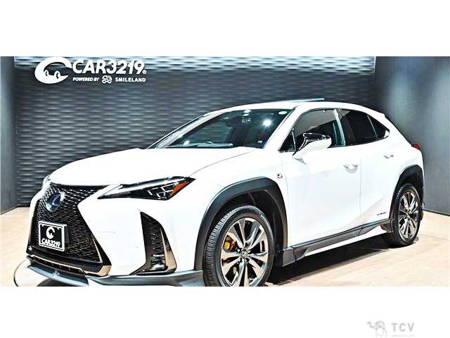 2021 Lexus Other
