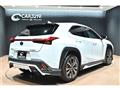 2021 Lexus Other