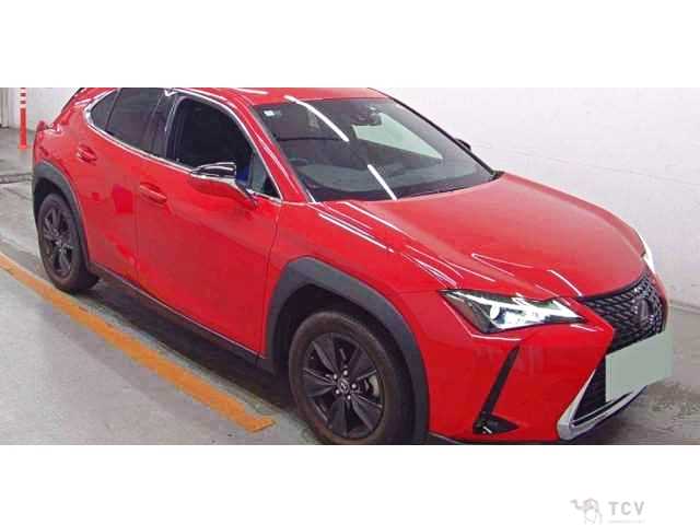 2020 Lexus Other