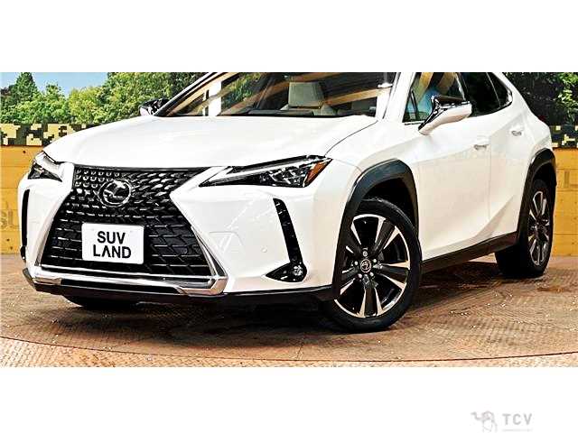 2020 Lexus Other
