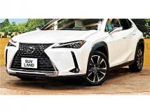 2020 Lexus Other