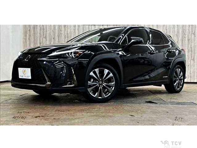 2020 Lexus Other