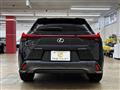 2020 Lexus Other