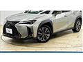 2020 Lexus Other